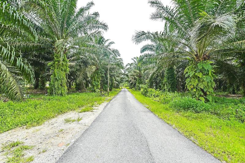 OYO Home 90332 Jentayu Homestay Pontian image