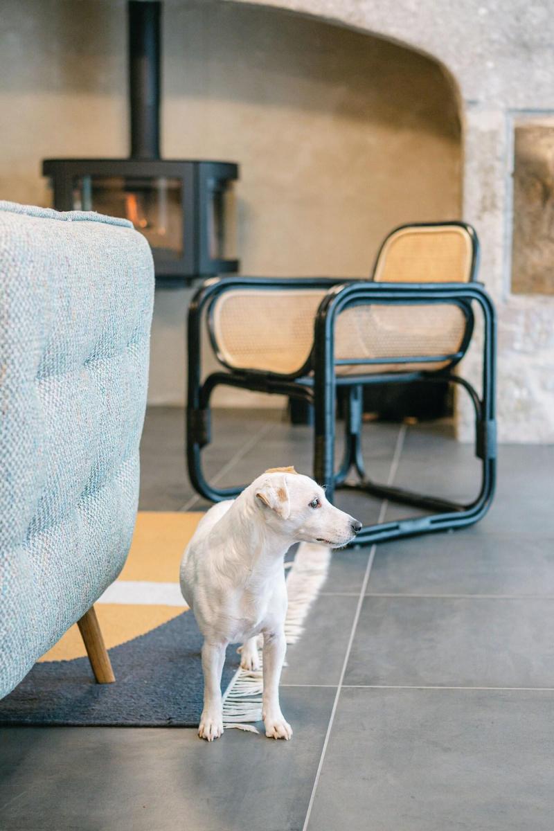 Logis Hotel L'Argence image