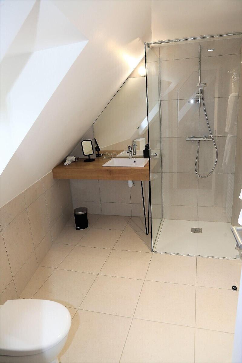 Logis Hotel L'Argence image