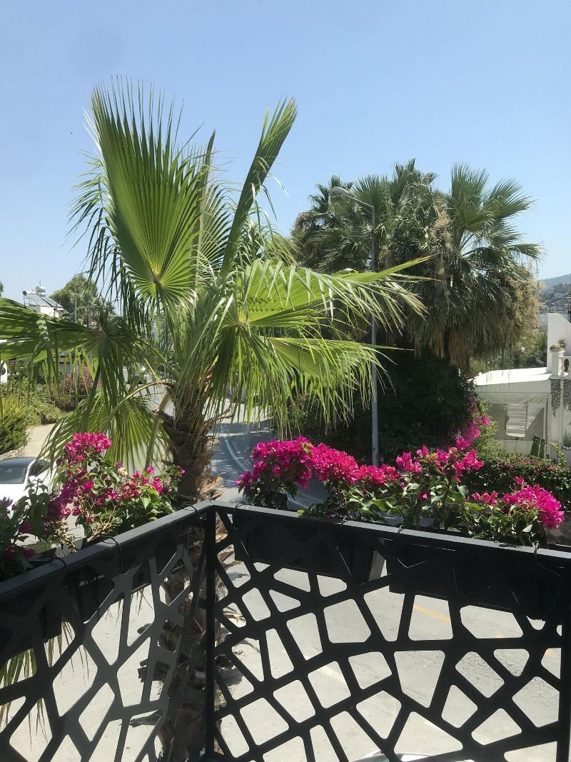 Sea Palm Otel Yalikavak image