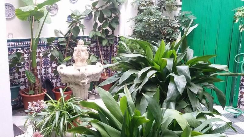 Hosteria de Rafi image