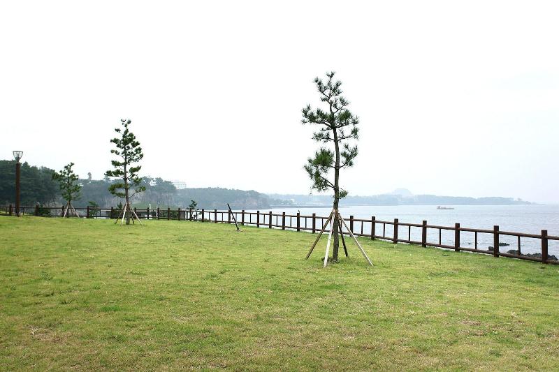 Seogwipo Badahae image