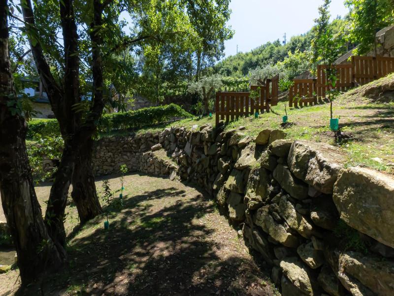 Aldeia da Margarida image