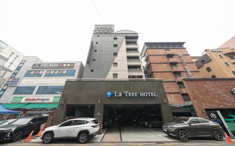 Ilsan La Tree image