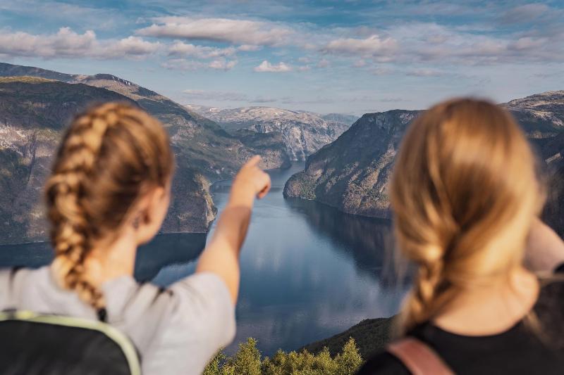 Hotel Aurlandsfjord image