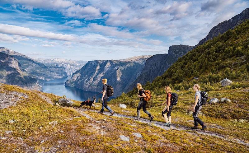 Hotel Aurlandsfjord image