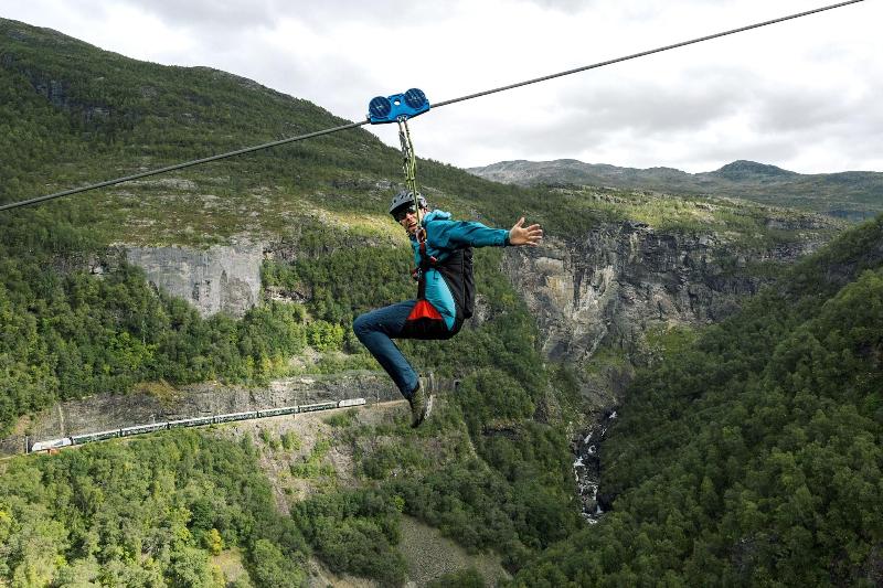 Hotel Aurlandsfjord image