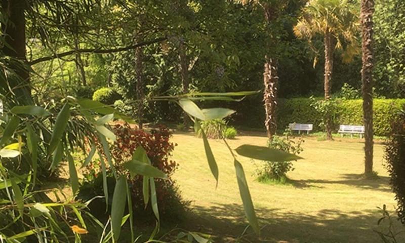 La Maison ChicorÃ©e — photo 4