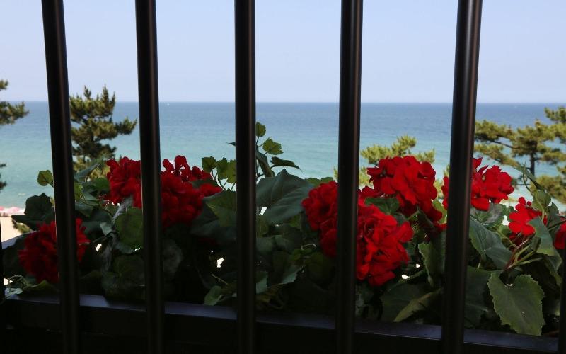Gangneung Gyeongpodae Hotel Rang image