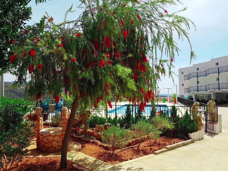 Panoramic Holidays Deluxe 7 — photo 4