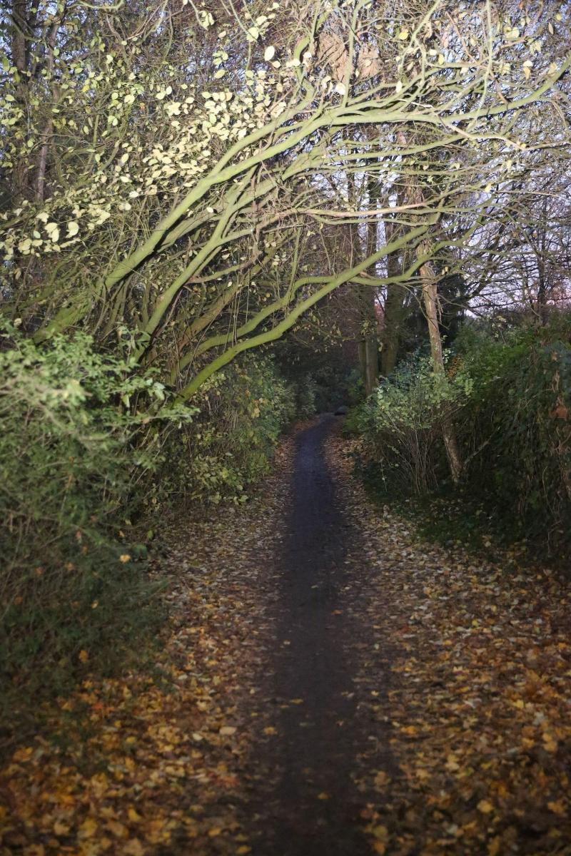 Twinhof image