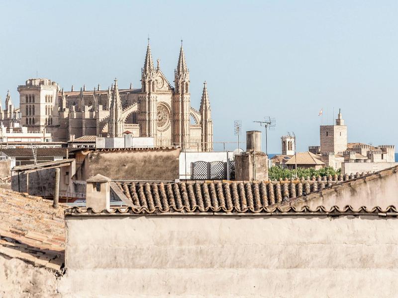Concepcio by Nobis image