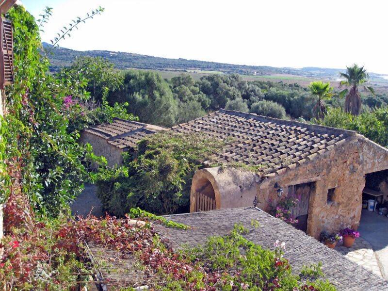 Finca Sa Cova Vella — photo 2