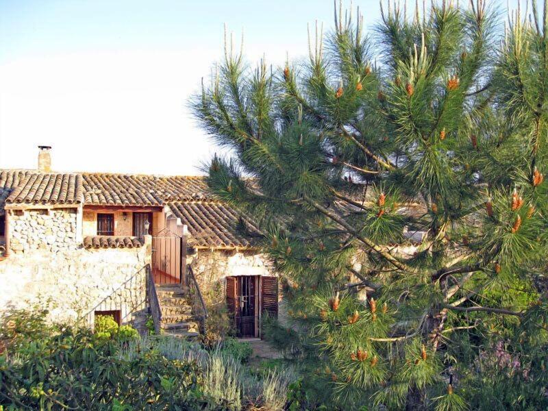 Finca Sa Cova Vella — photo 4