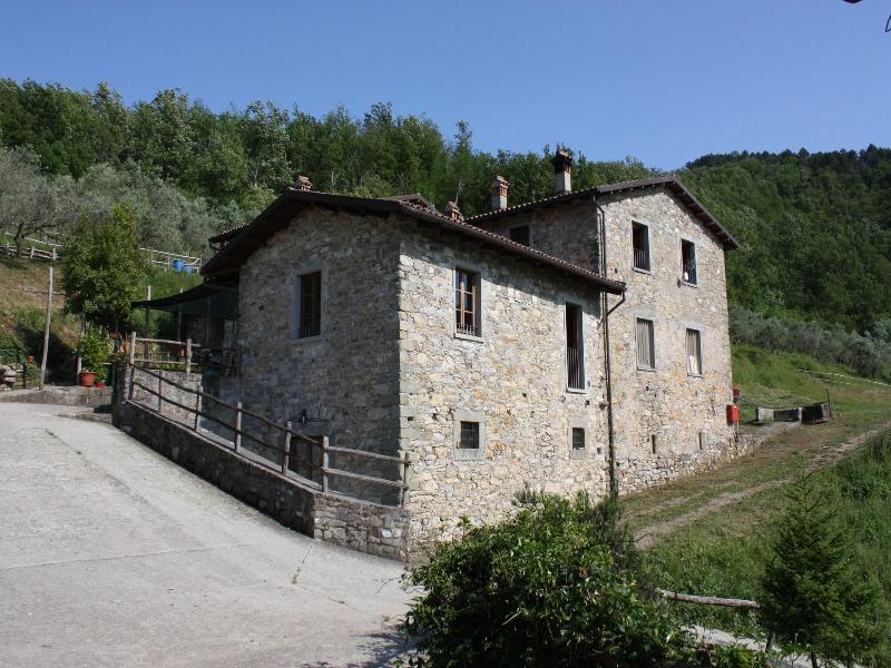 Le Chianine dei Tognoli image