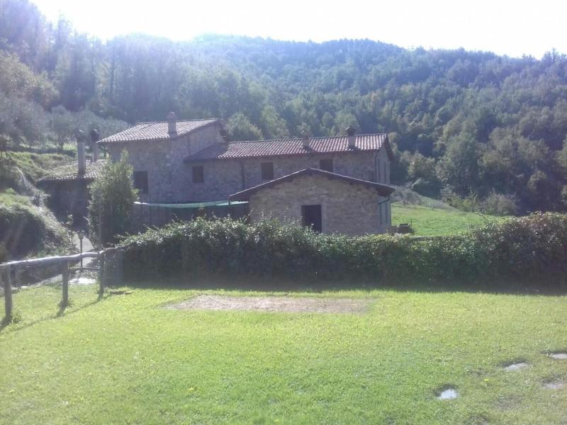 Le Chianine dei Tognoli image