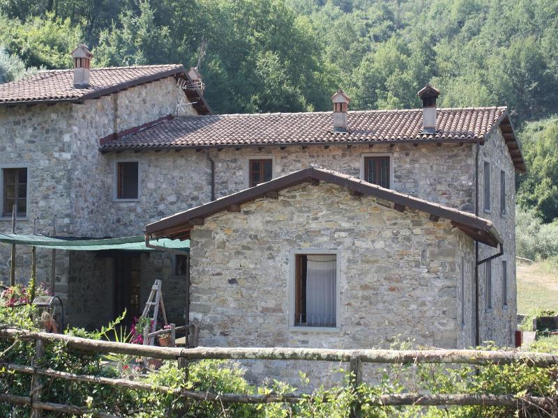 Le Chianine dei Tognoli image