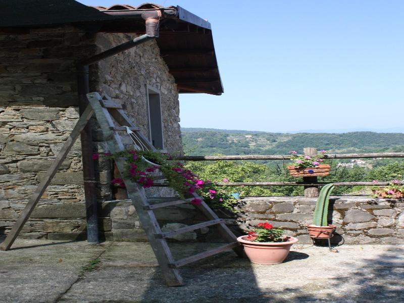 Le Chianine dei Tognoli image