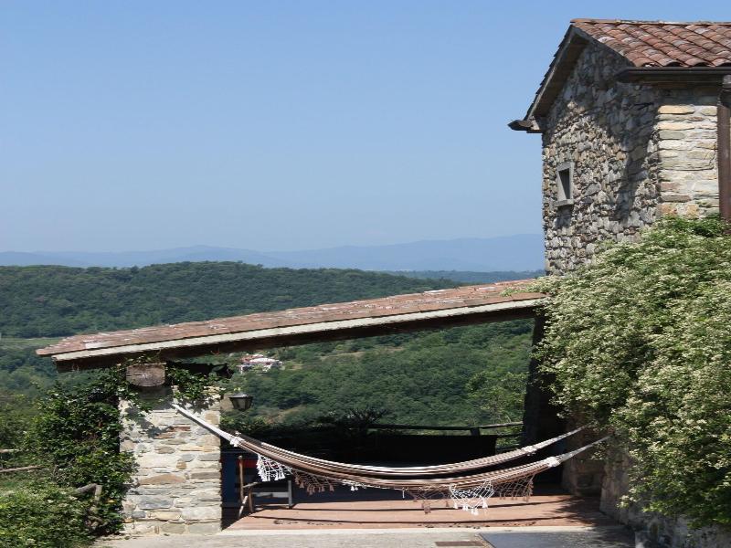 Le Chianine dei Tognoli image