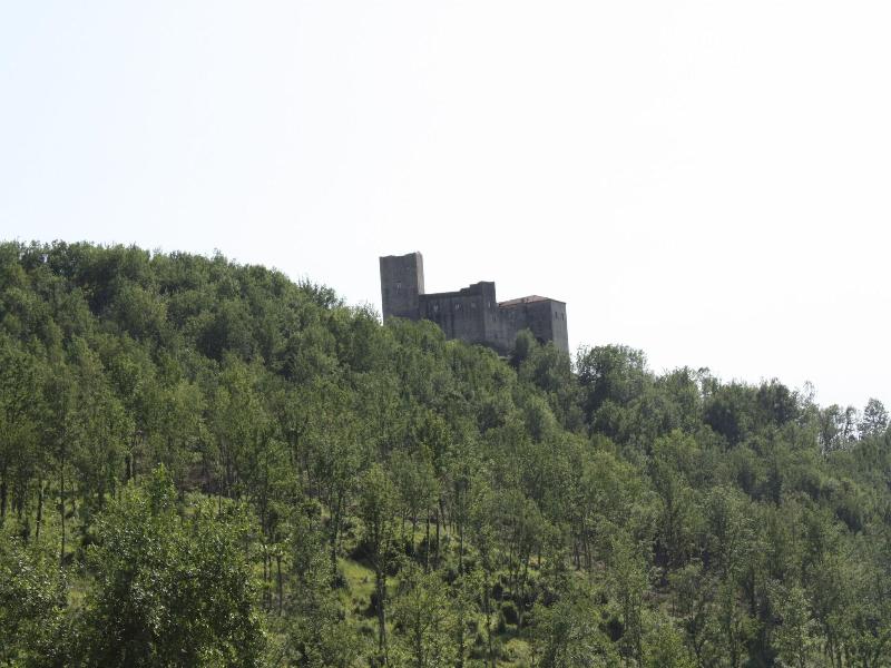 Le Chianine dei Tognoli image