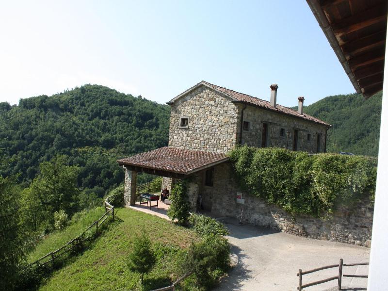 Le Chianine dei Tognoli image
