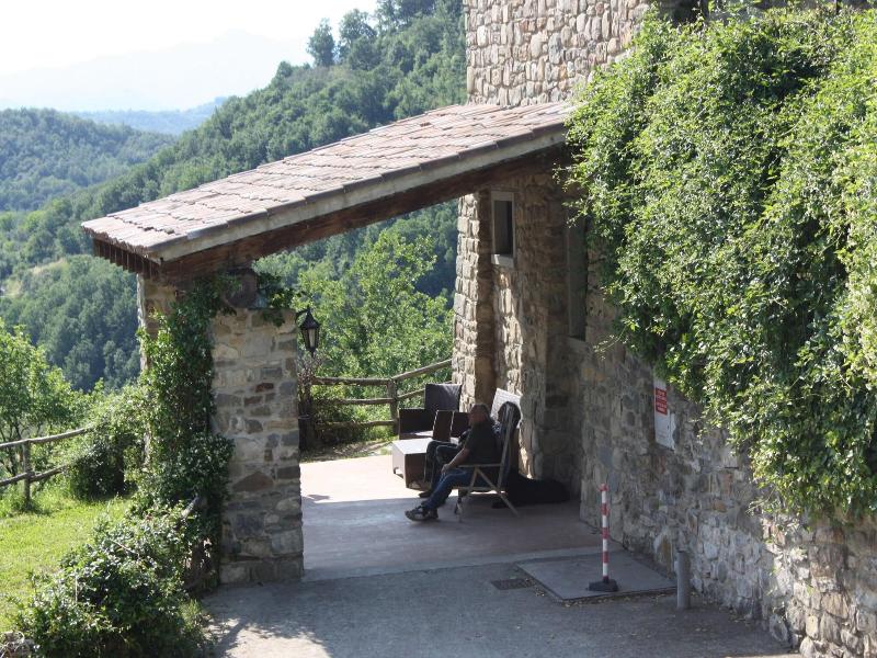 Le Chianine dei Tognoli image