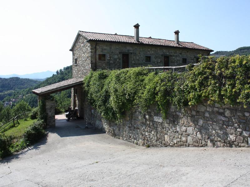 Le Chianine dei Tognoli image