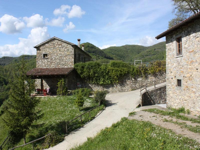 Le Chianine dei Tognoli image