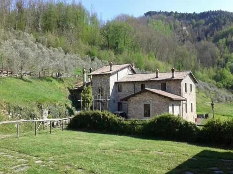 Le Chianine dei Tognoli image