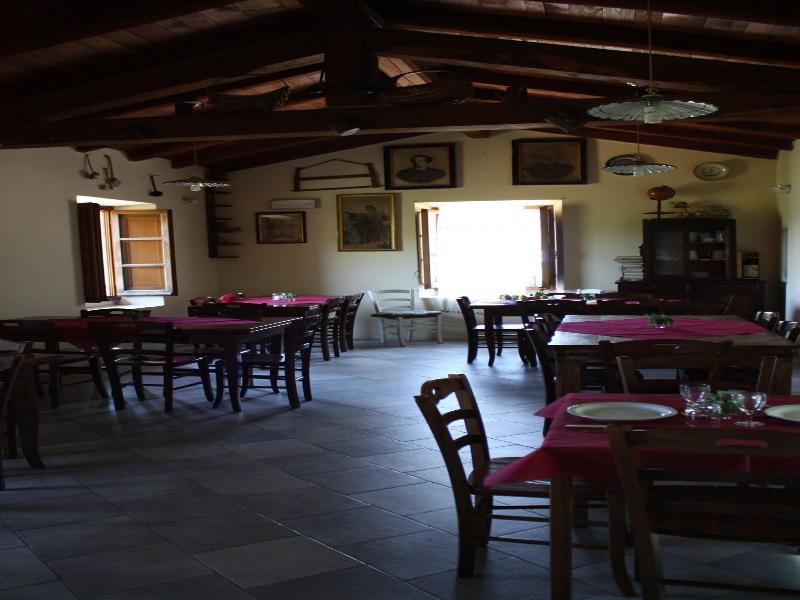 Le Chianine dei Tognoli image