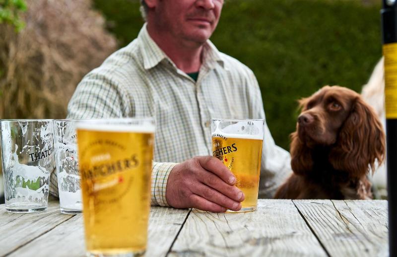 The Martlet Inn image