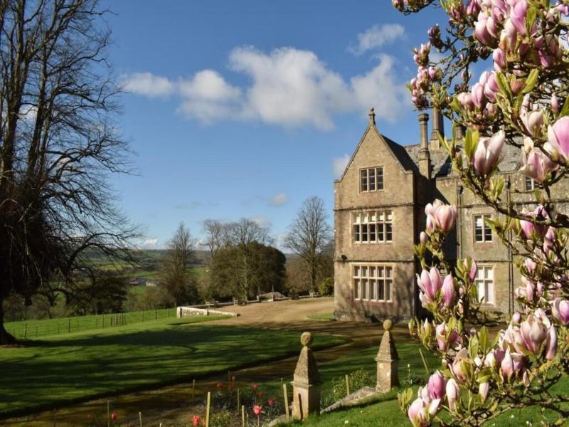 Hall Bed & Breakfast image
