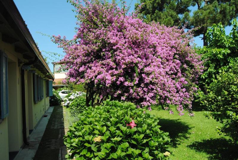 Villa Hermes — photo 3