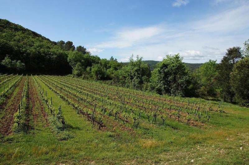 Prieure D Orniols image