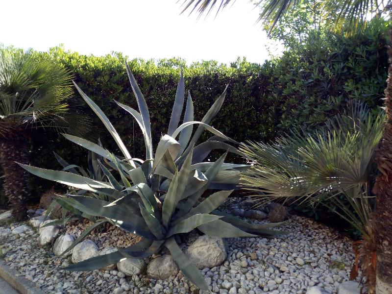 Villa Paeonia image