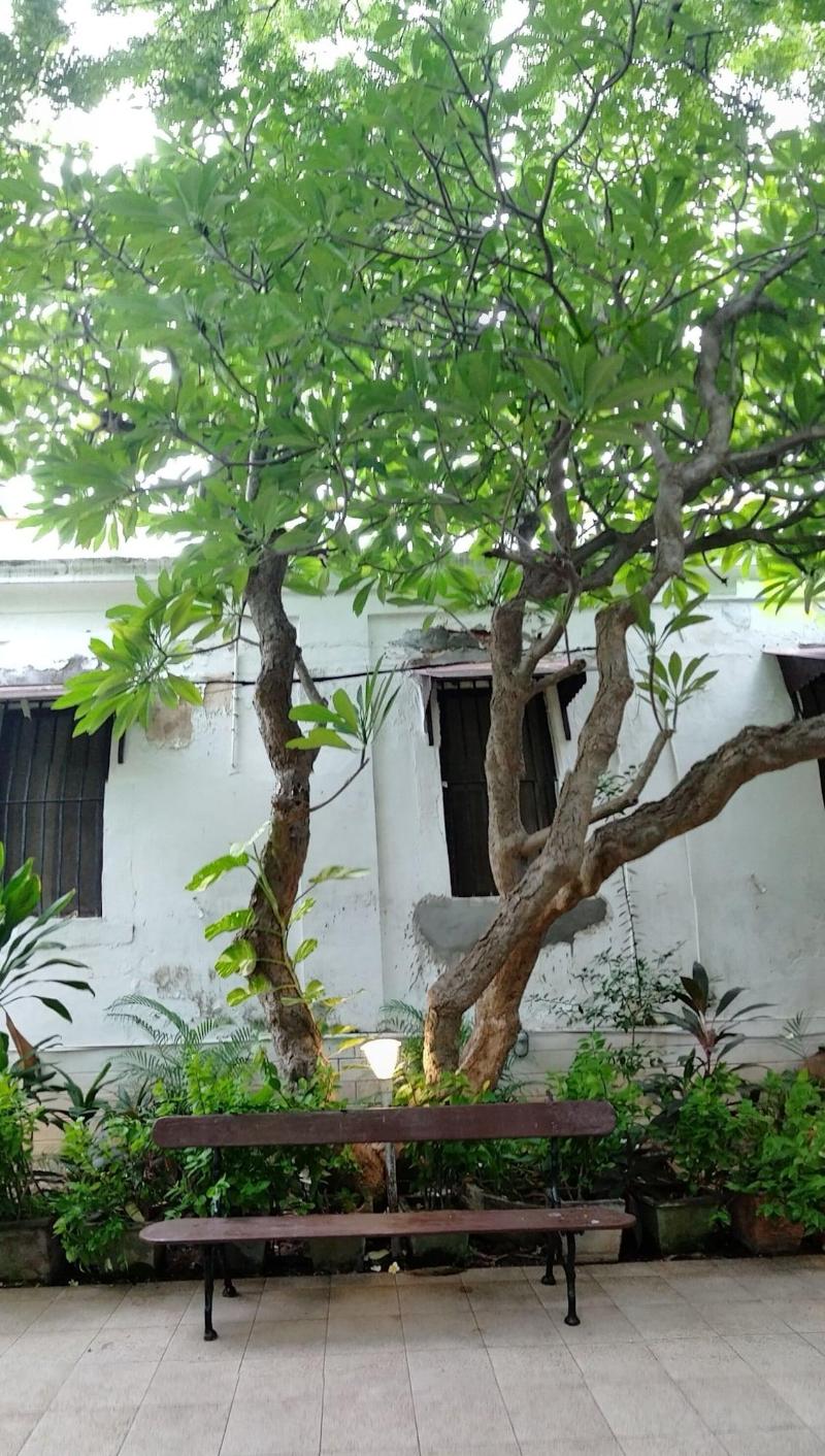 Dumas Guest House image