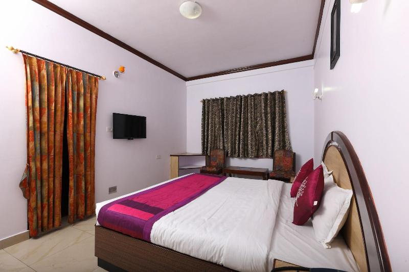 OYO 8855 Orchid Inn image