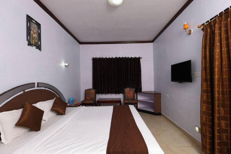 OYO 8855 Orchid Inn image