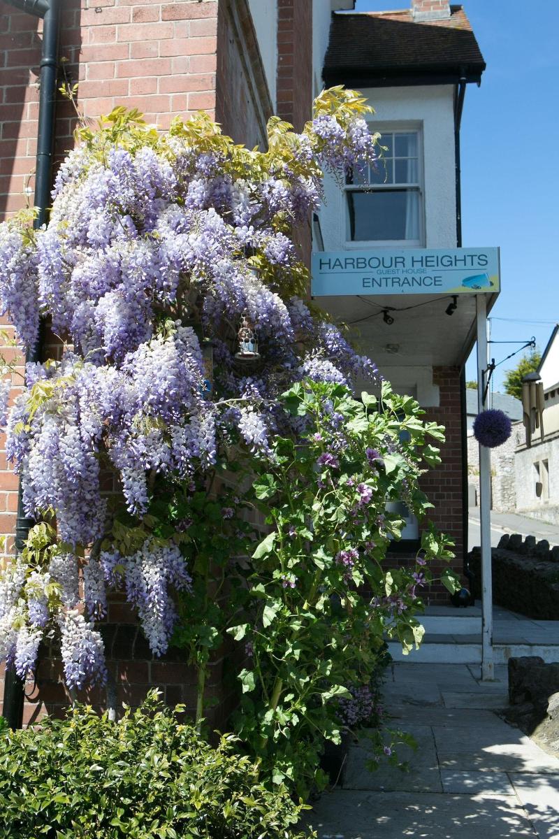 Harbour Heights Guest House