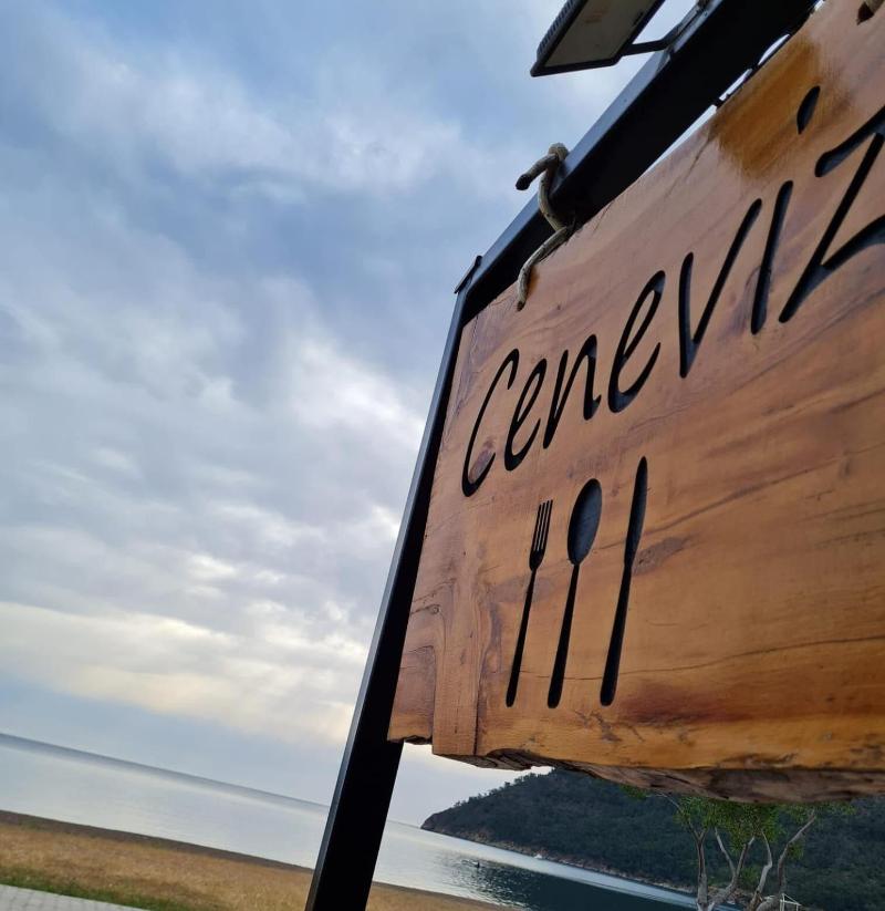 Ceneviz Hotel — photo 4