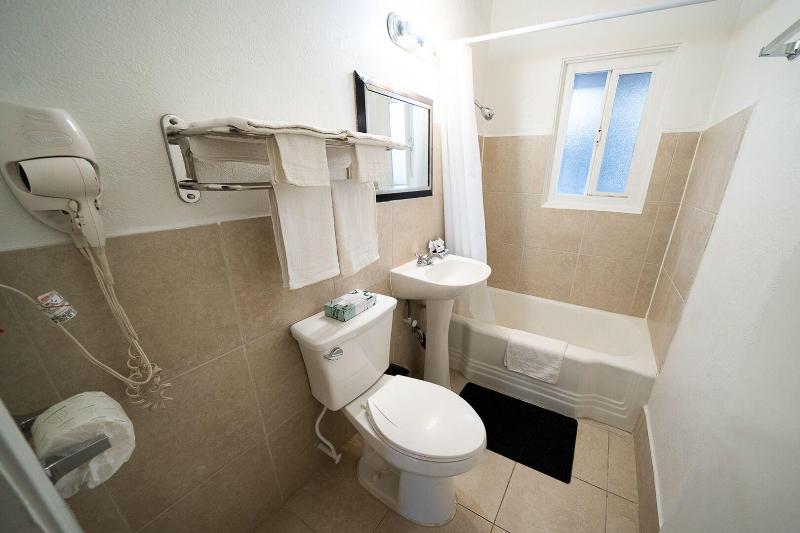 Stay inn suite image