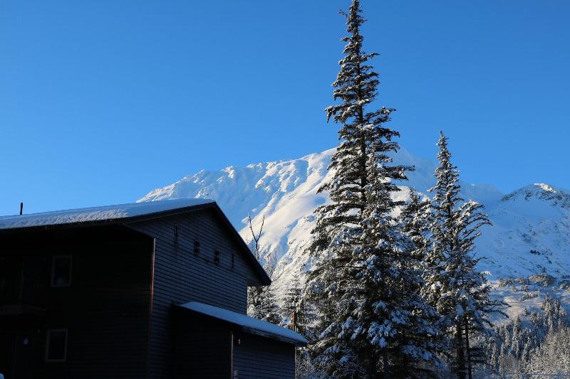 Spruce Lodge image
