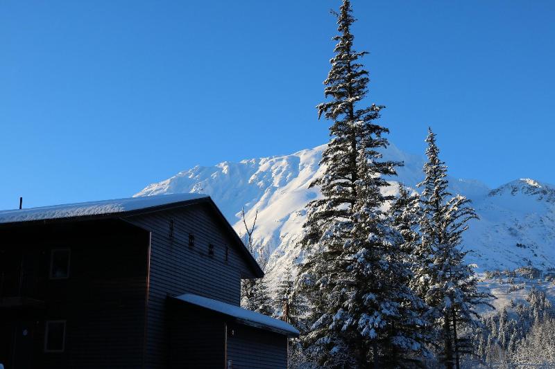 Spruce Lodge image