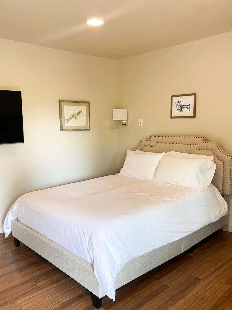 Spruce Lodge image