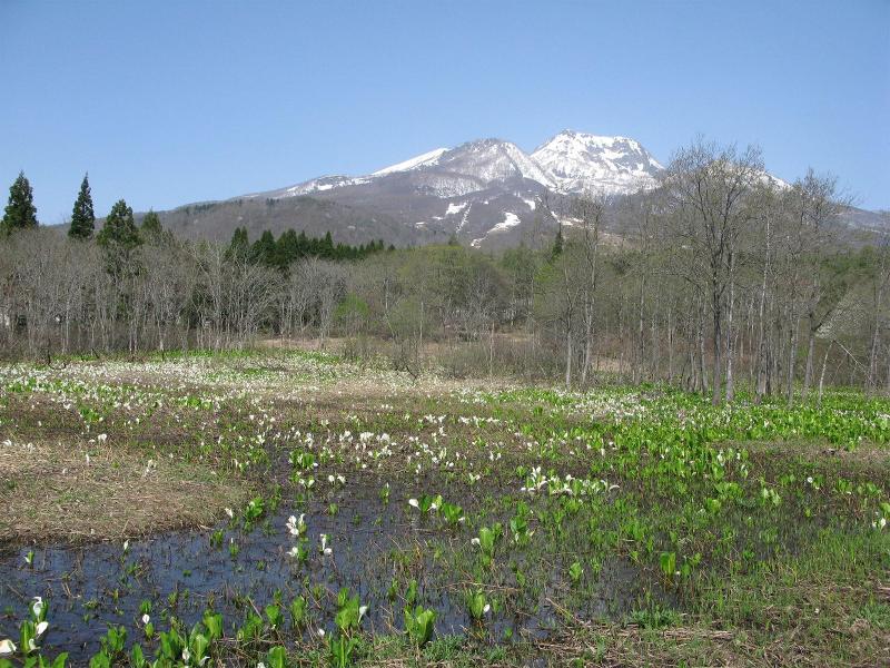 Park Lodge Sekine image