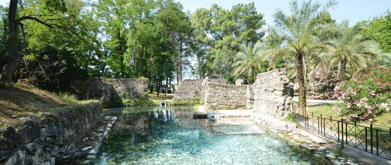 Telesia Residence — photo 3