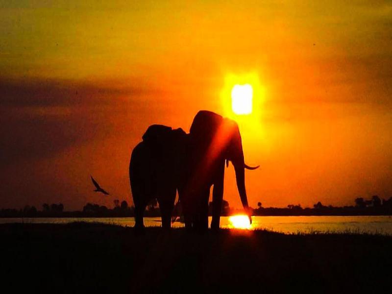 Elephant Trail Guesthouse and Backpackers image