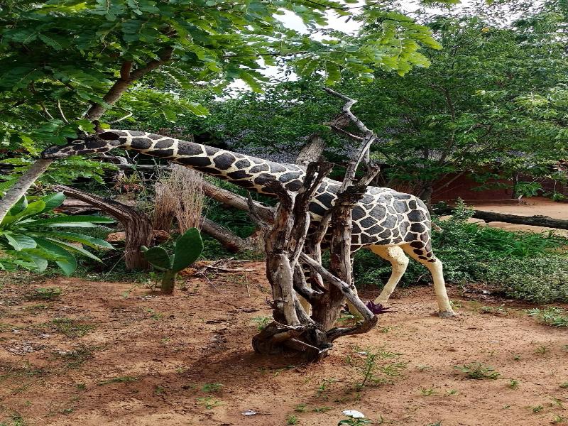 Elephant Trail Guesthouse and Backpackers image