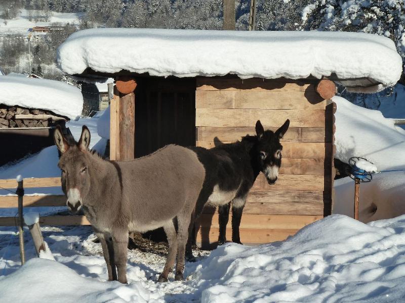 Le Bois des Louison image