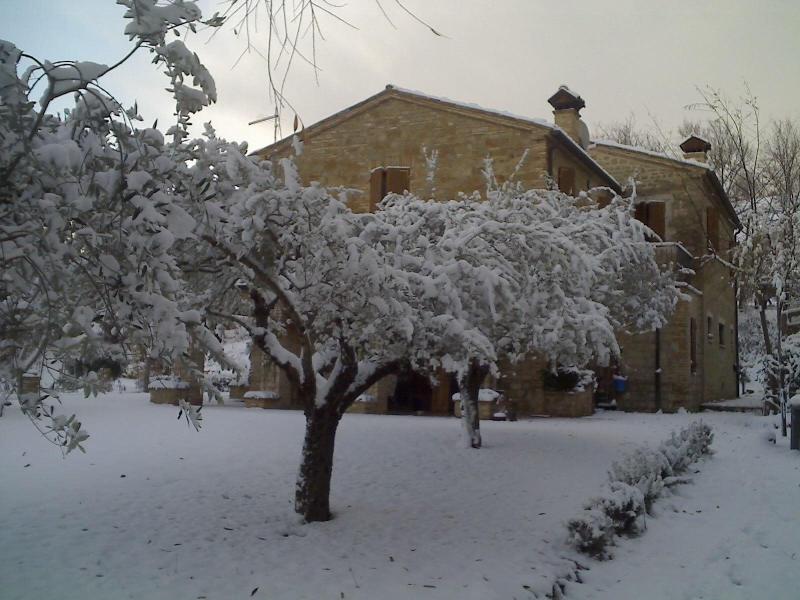 Bed & Breakfast La Casa Delle Rondini image